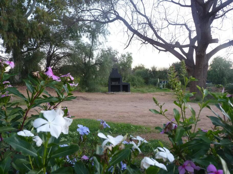Holiday home Moira's Calitzdorp