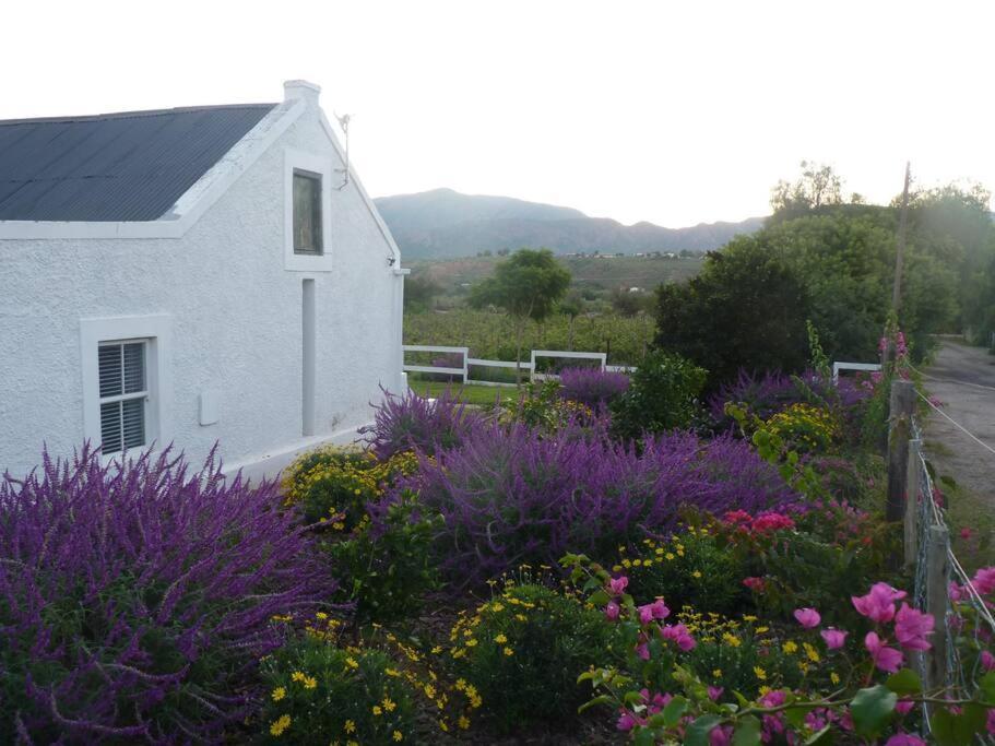 Moira's Calitzdorp
