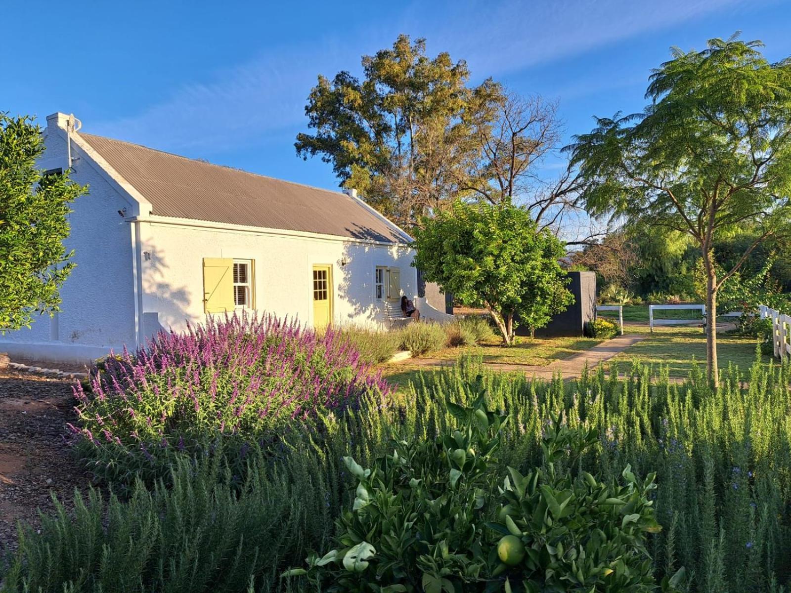 Moira's Holiday home Calitzdorp